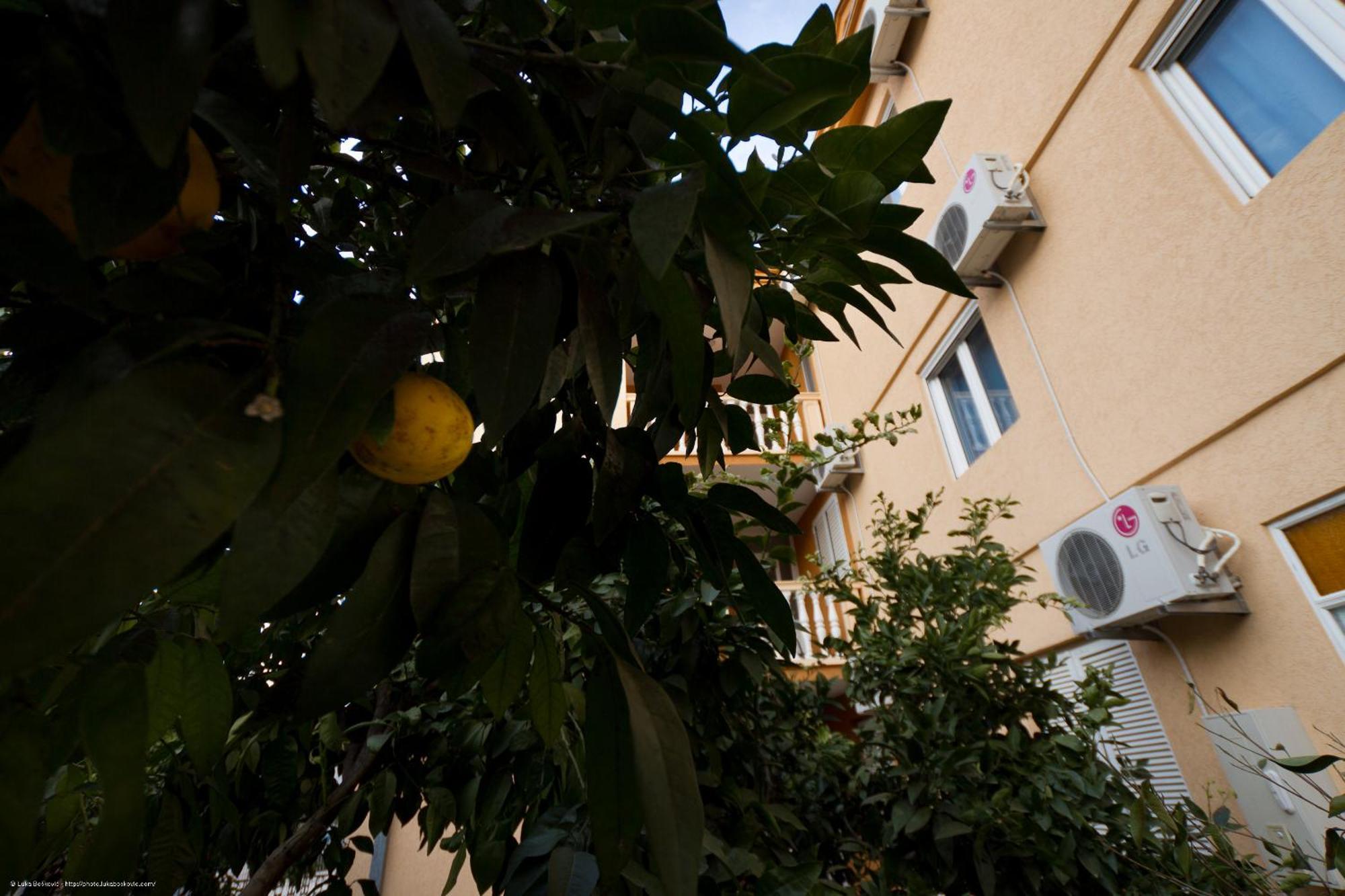 Apartments Dalila Улцин Екстериор снимка